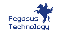 Pegasus Courier ERP StartUp
